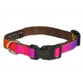 Sassy Dog Wear Sassy Dog Wear RAINBOW1-C Dog Collar; Rainbow - Extra Small RAINBOW1-C